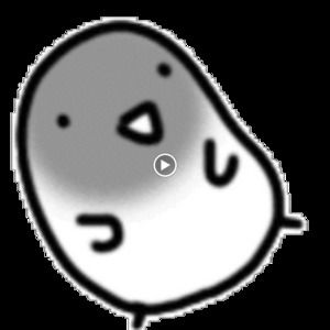 Meet your Posher, Yichen